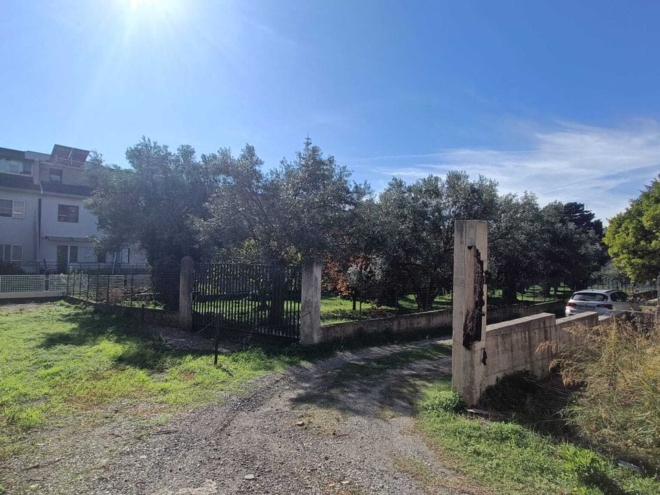 Helårsgrund i Lamezia Terme, Catanzaro - foto 4