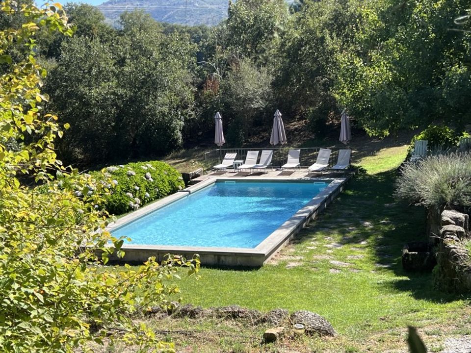 Farm i Ferro, Castelo Branco - foto 5