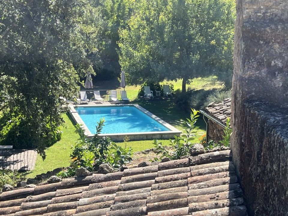 Farm i Ferro, Castelo Branco - foto 4
