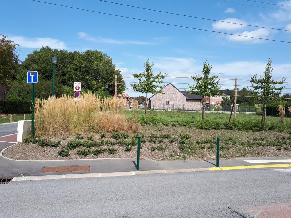 Helårsgrund i Pernes, Pas-de-Calais - foto 4