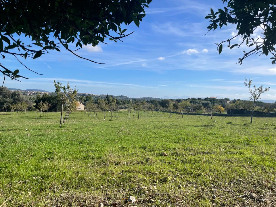 Helårsgrund i Moscari, Mallorca - foto 2