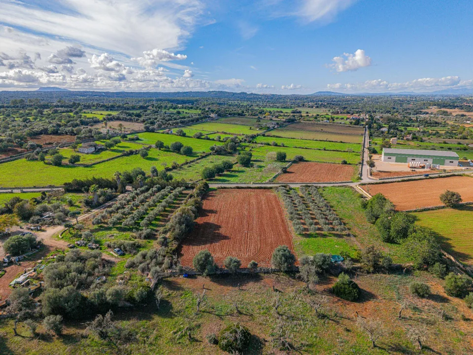 Tomt i Llubi, Mallorca - bilde 3
