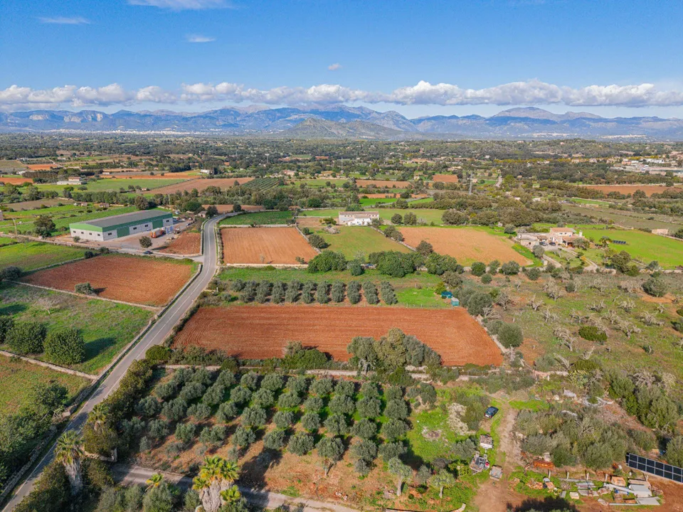 Tomt i Llubi, Mallorca - bilde 5