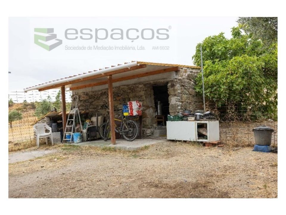 Farm i Castelo Branco, Castelo Branco - foto 2