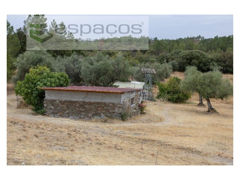 Farm i Castelo Branco, Castelo Branco - foto 5