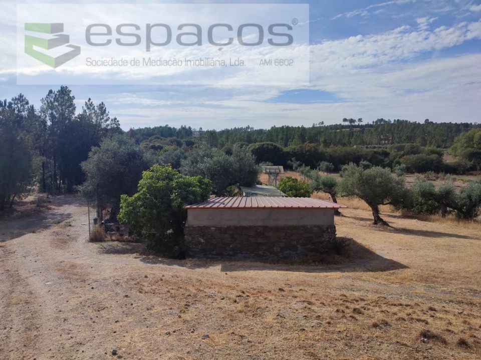 Farm i Castelo Branco, Castelo Branco - foto 1