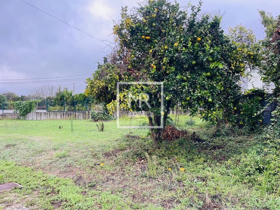 Villa en Anadia, Aveiro - foto 2