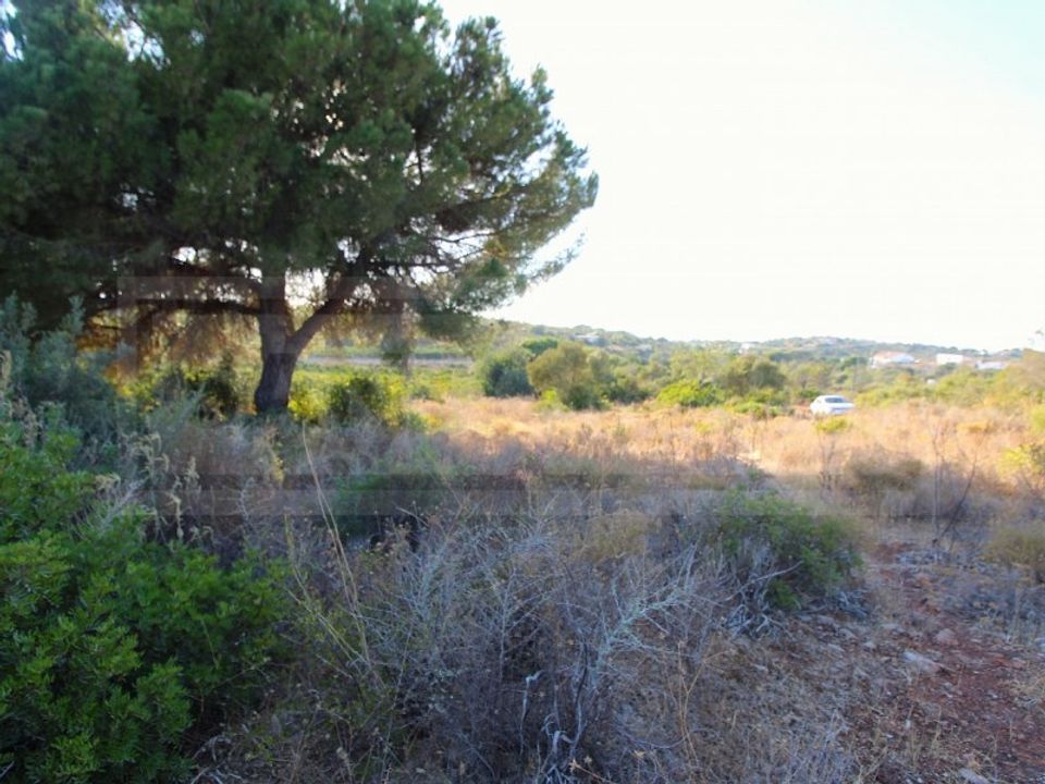 Ruinere i Ferreiras, Faro - foto 1