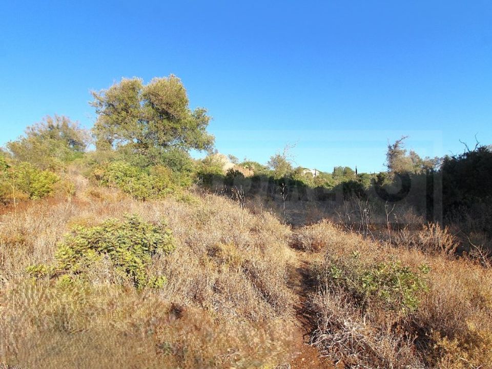 Ruinere i Ferreiras, Faro - foto 2