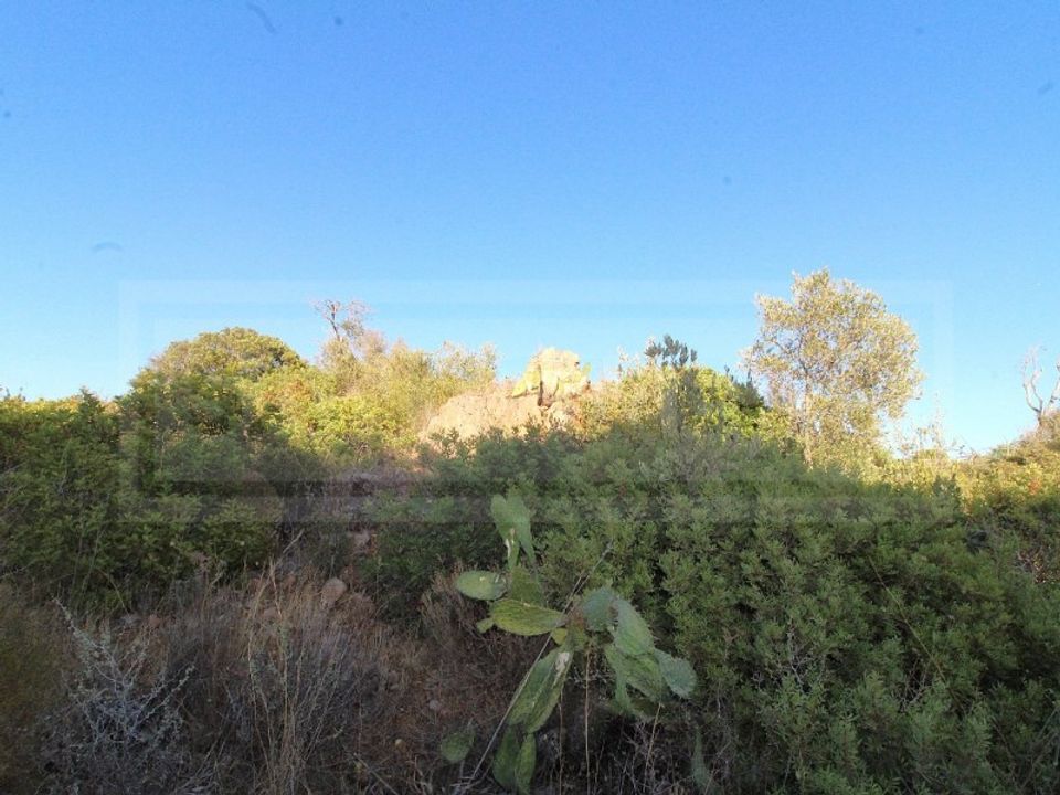 Ruinere i Ferreiras, Faro - foto 4