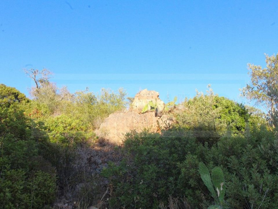 Ruinere i Ferreiras, Faro - foto 5