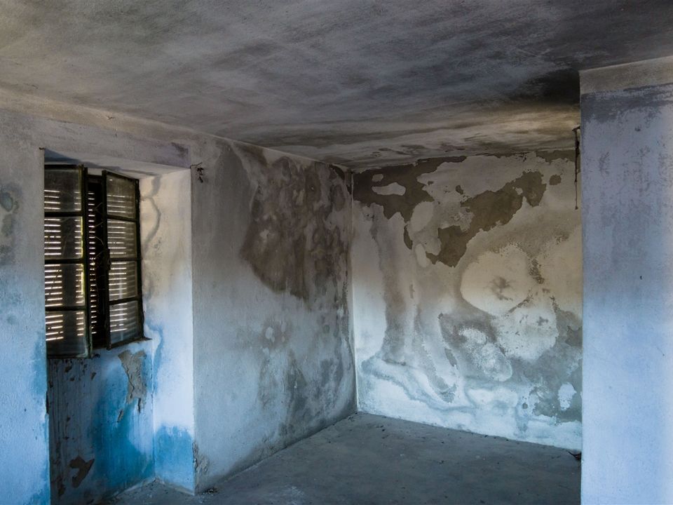 Villa i Covilha, Castelo Branco - foto 4