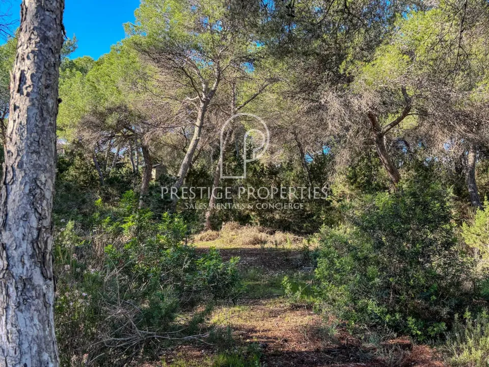 Helårsgrund i Cala Llenya, Ibiza - foto 1