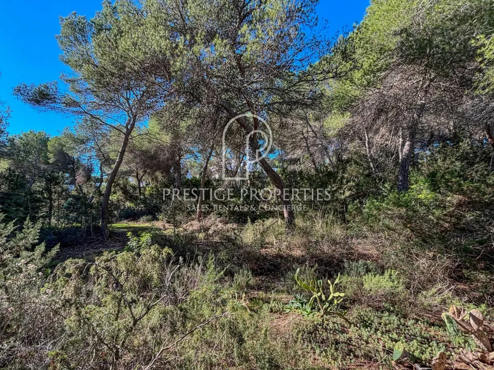Helårsgrund i Cala Llenya, Ibiza - foto 5