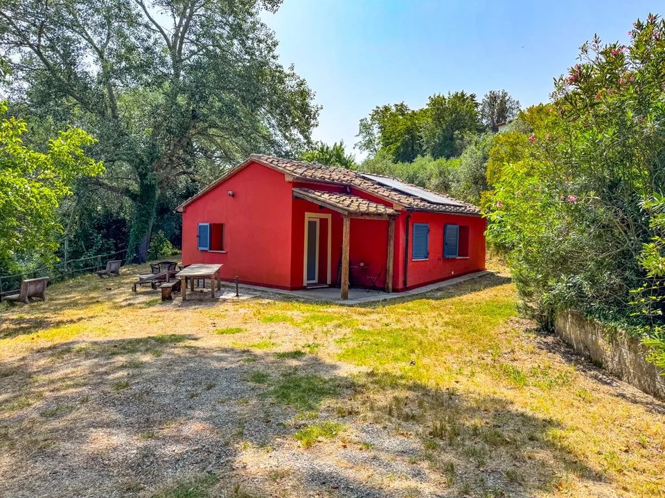 Villa a Montescudaio, Pisa - foto 4