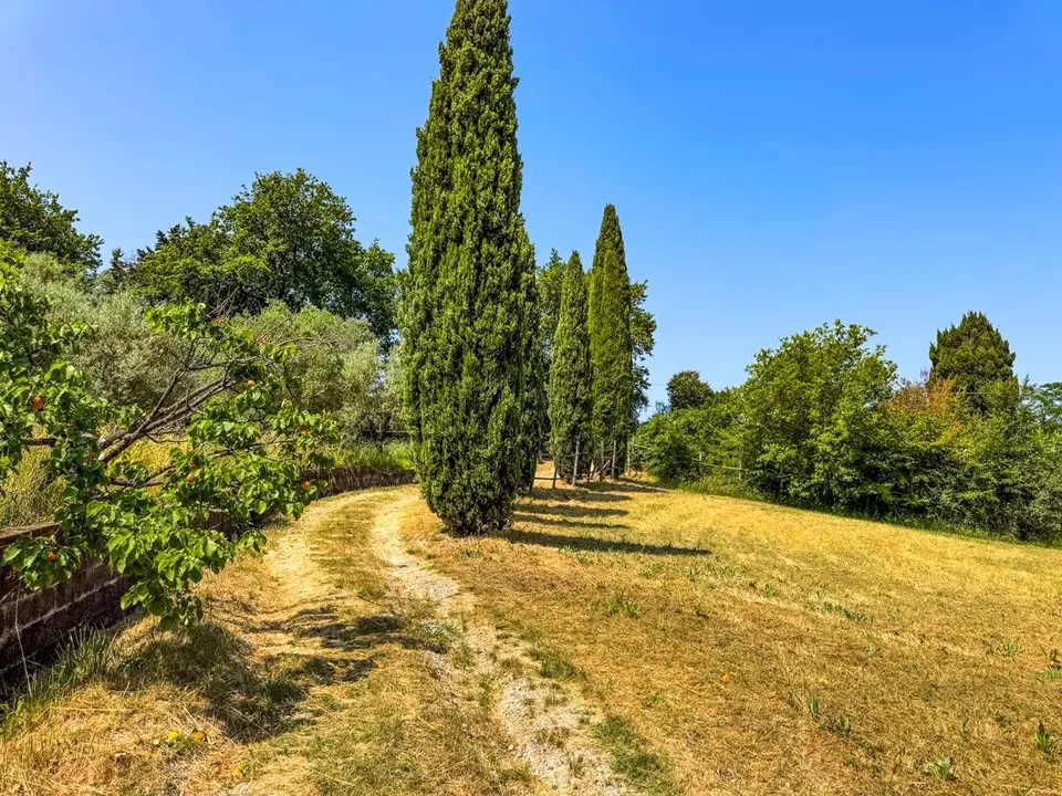 Villa a Montescudaio, Pisa - foto 1