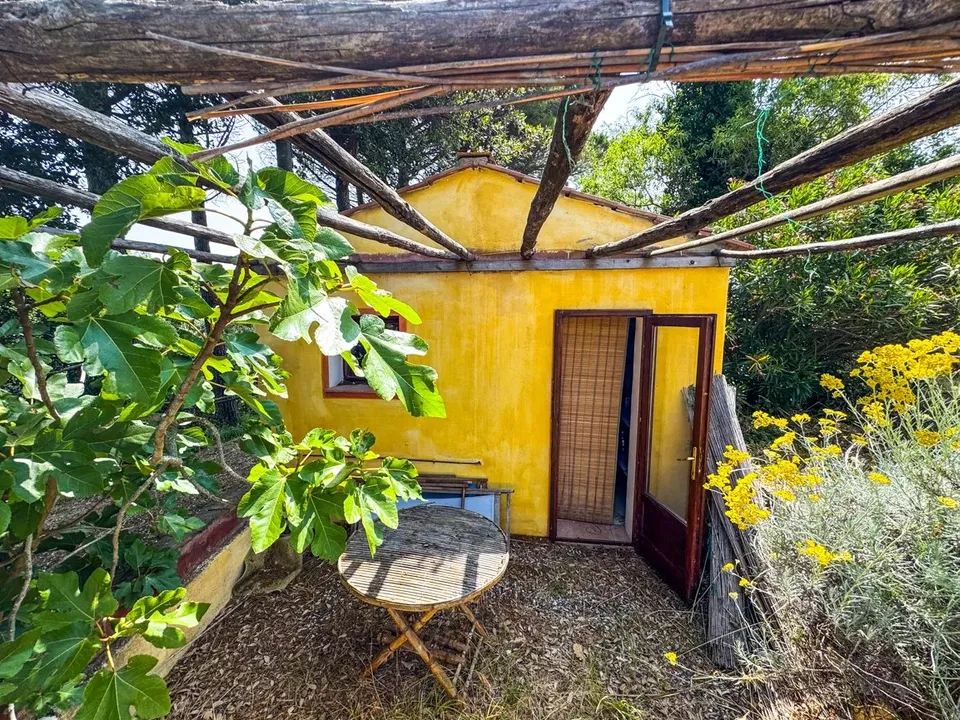 Villa i Montescudaio, Pisa - bilde 3