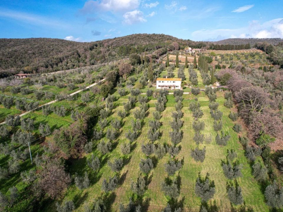 Casa de campo en Castagneto Carducci, Livorno - foto 2