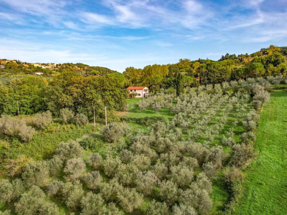 Landejendom i Montescudaio, Pisa - foto 2