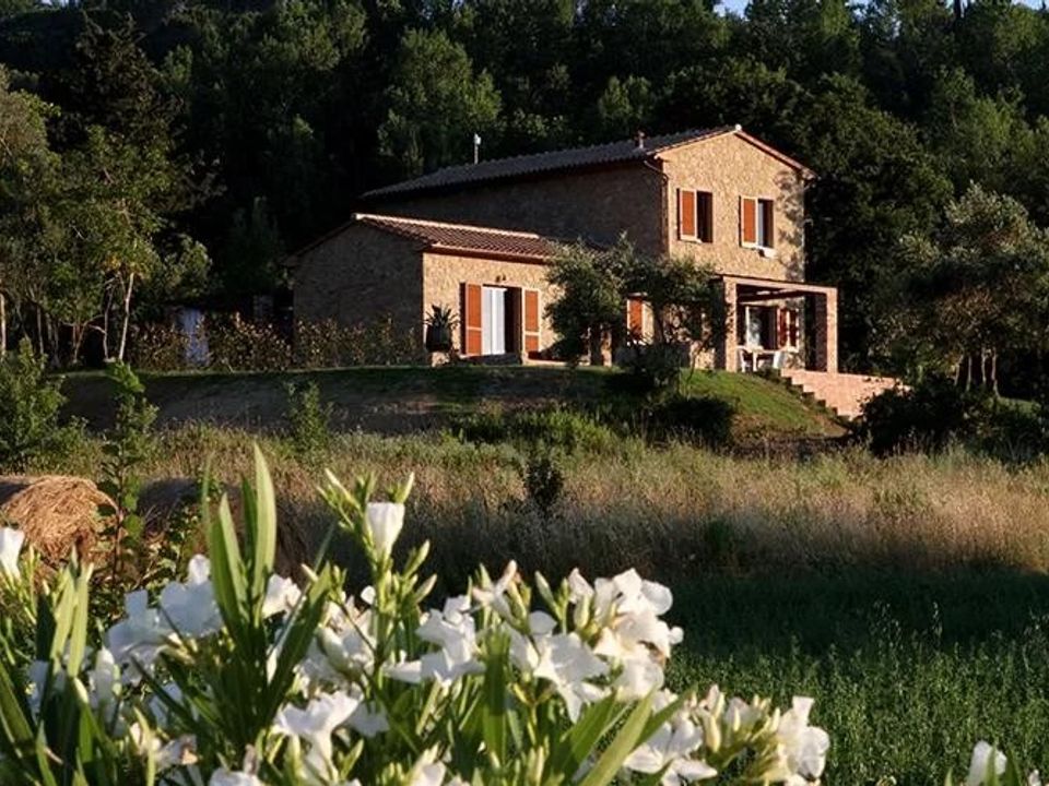 Villa a Montescudaio, Pisa - foto 1