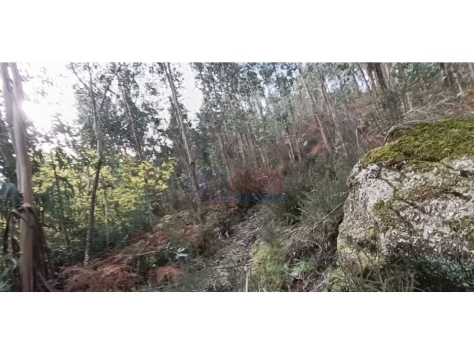 Helårsgrund i Povoa de Lanhoso, Braga - foto 2
