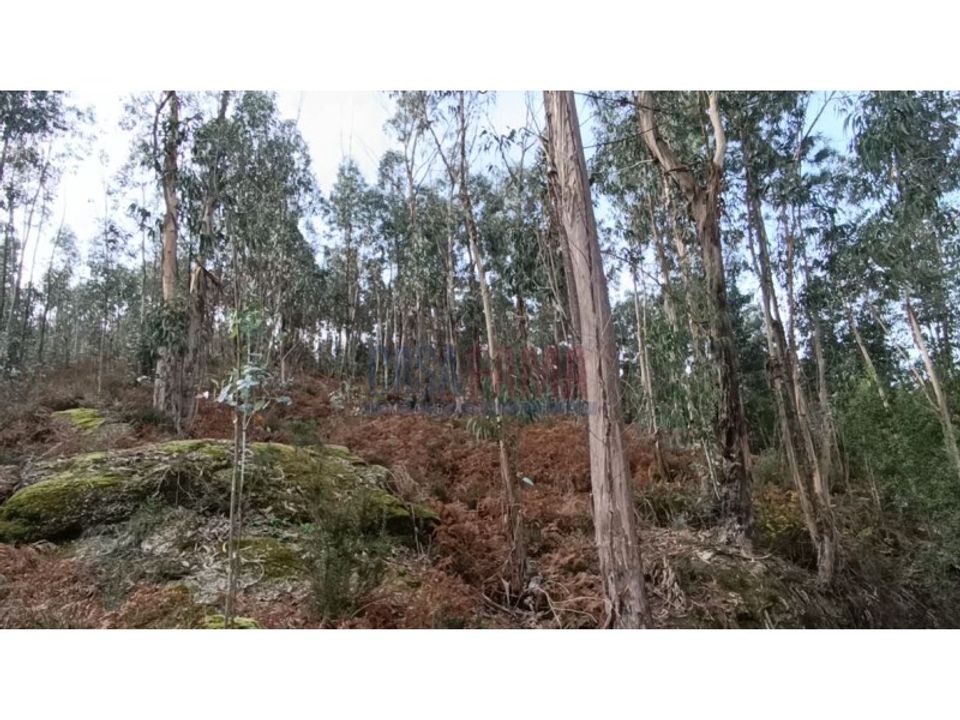Helårsgrund i Povoa de Lanhoso, Braga - foto 3