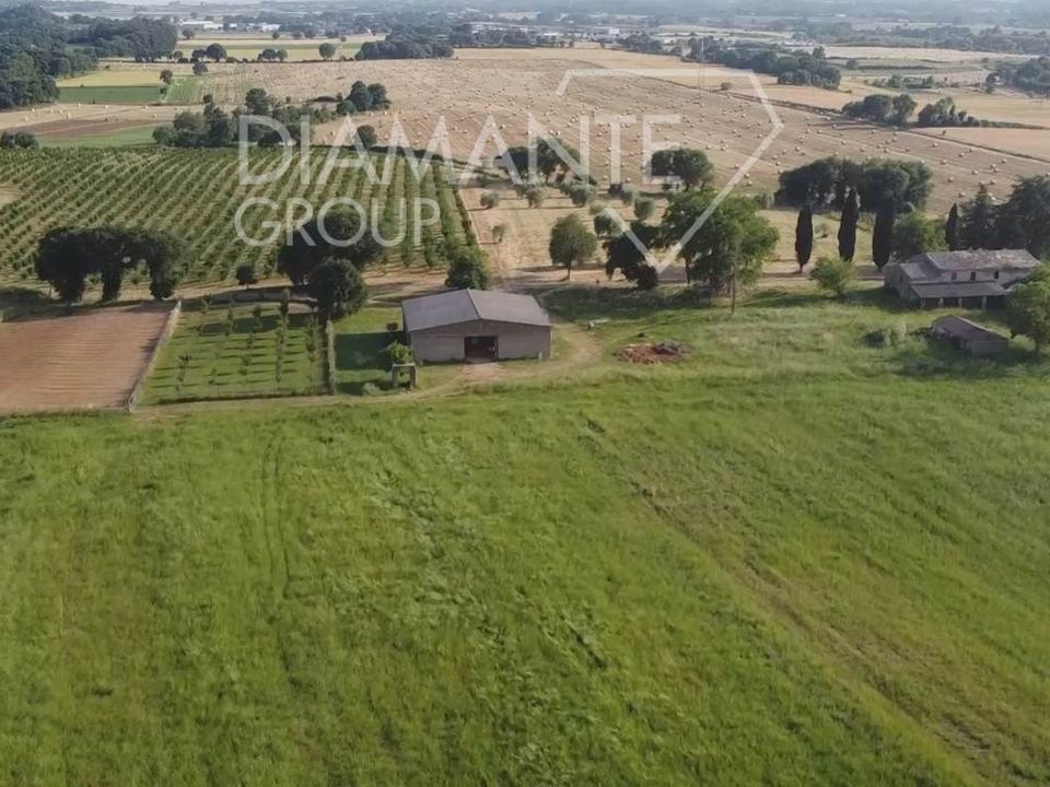 Farm i Acquapendente, Viterbo - foto 5