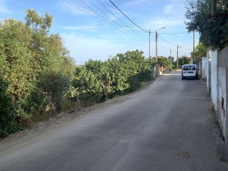 Helårsgrund i Torres Novas, Santarem - foto 3