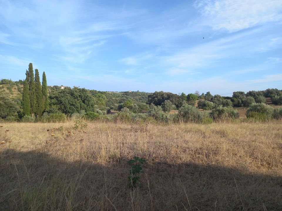 Helårsgrund i Torres Novas, Santarem - foto 5
