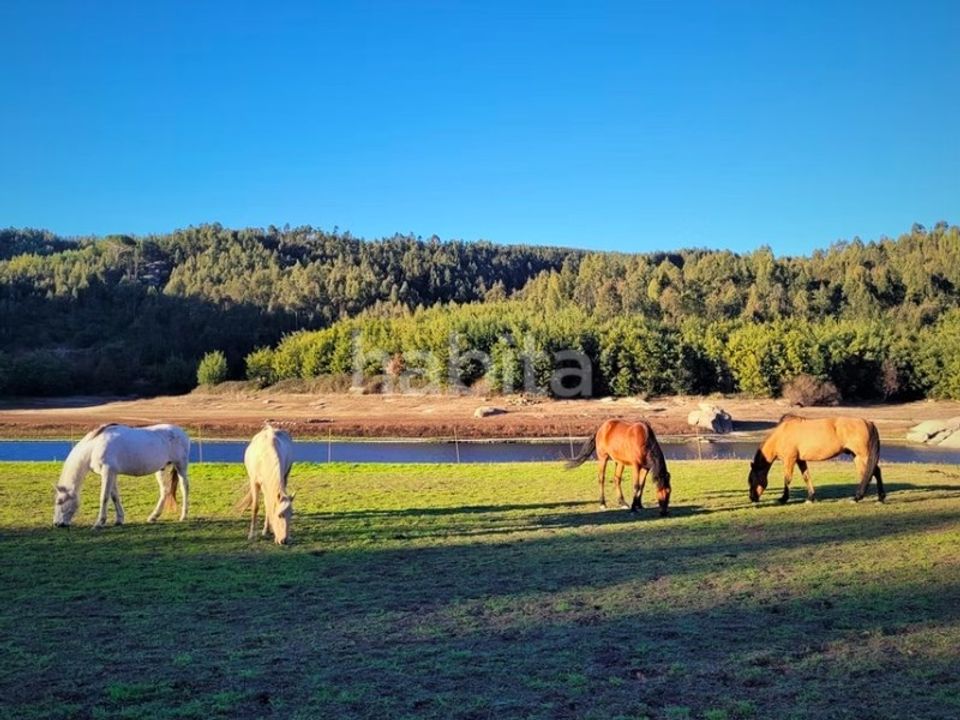 Farm i Povoa de Midoes, Coimbra - foto 3