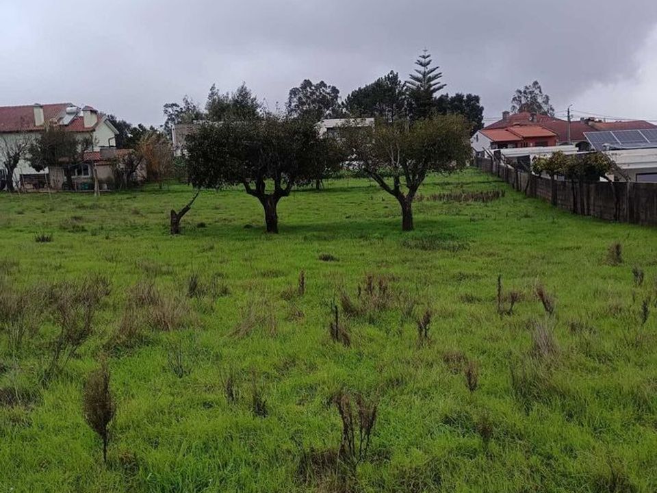 Helårsgrund i Albergaria-a-Velha, Aveiro - foto 3