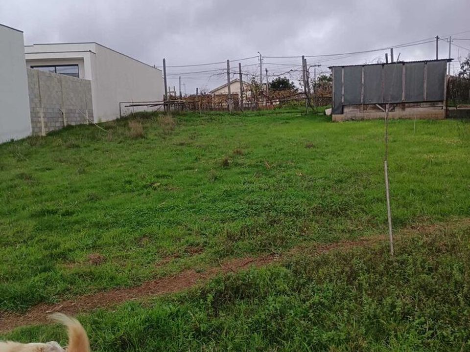 Helårsgrund i Albergaria-a-Velha, Aveiro - foto 3