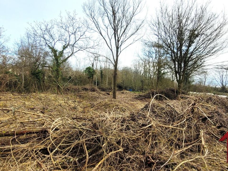 Terra a Soignolles-en-Brie, Seine-et-Marne - foto 1