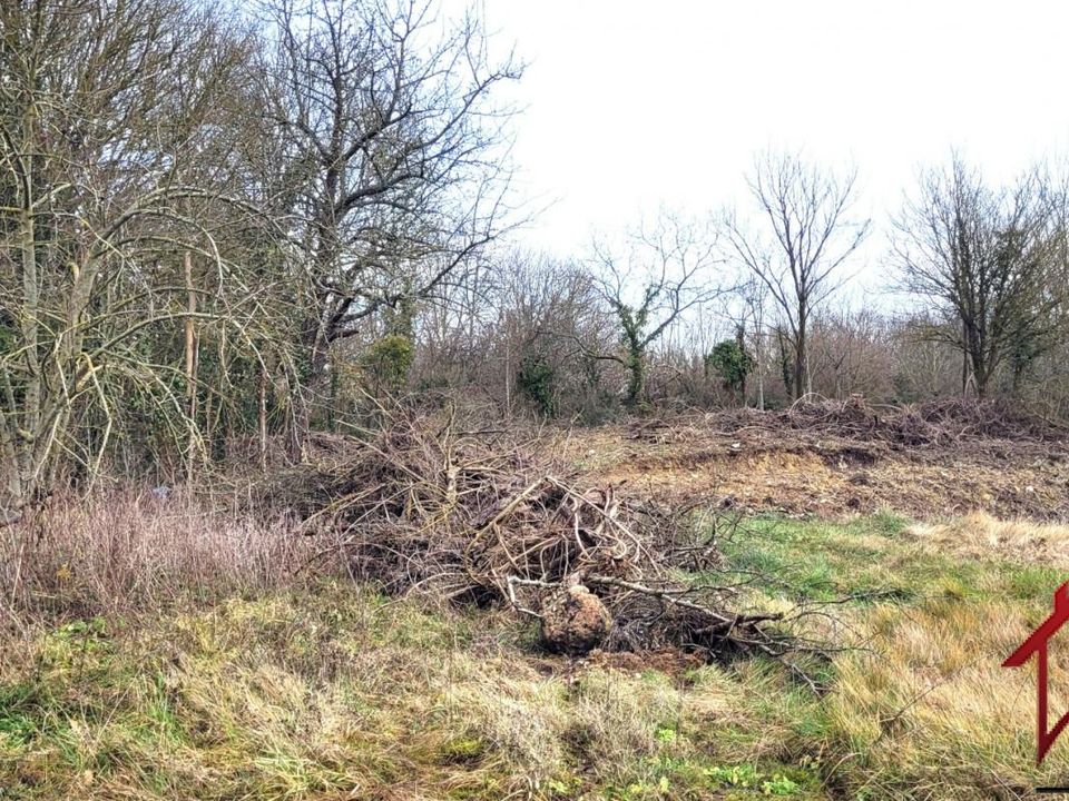 Terra a Soignolles-en-Brie, Seine-et-Marne - foto 3
