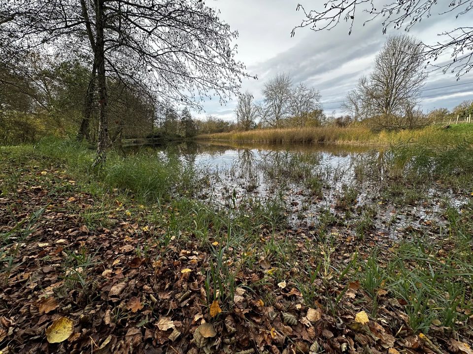 Helårsgrund i Avrillé-les-Ponceaux, Indre-et-Loire - foto 1