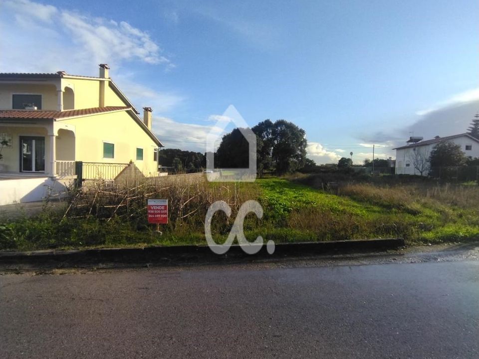 Terra a Monte Real, Leiria - foto 1