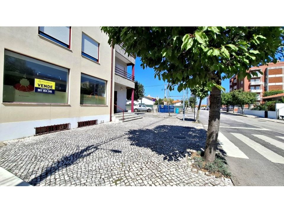 Erhvervsejendom i Albergaria-a-Velha, Aveiro - foto 1