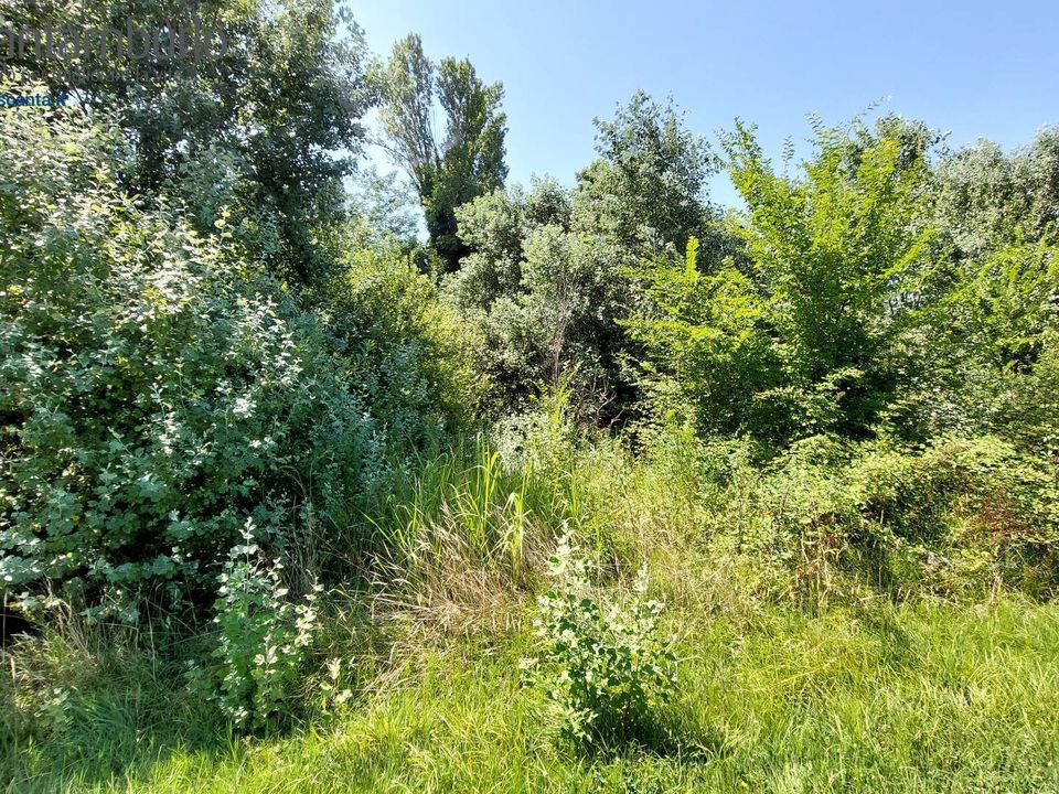 Helårsgrund i Preganziol, Treviso - foto 5
