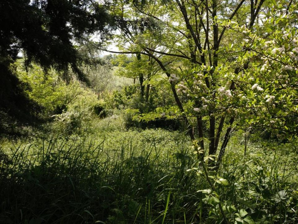 Helårsgrund i Albi, Tarn - foto 2