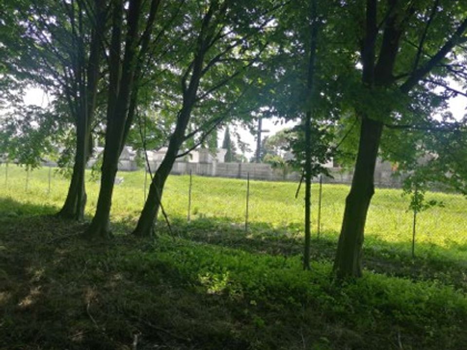 Helårsgrund i Treviso, Treviso - foto 5