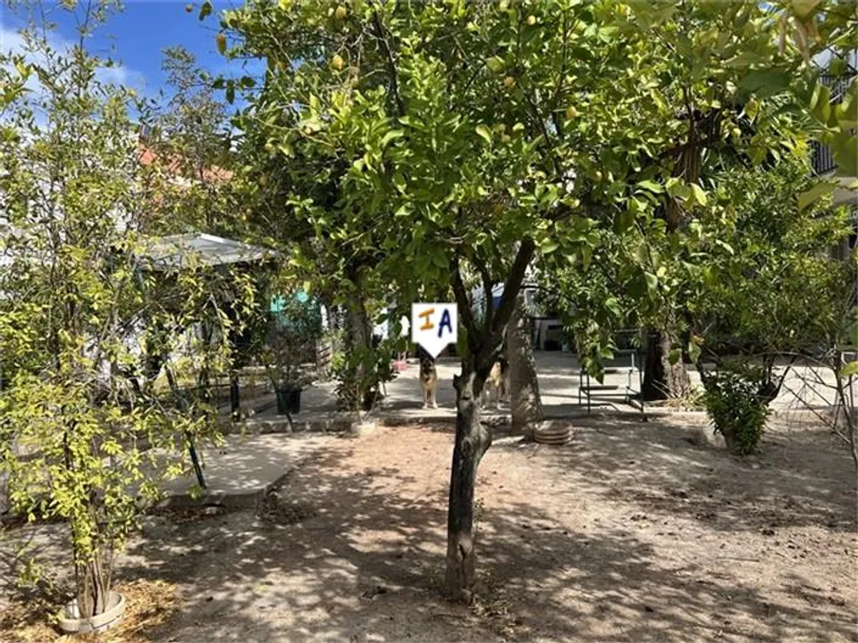 Byhus i Rute, Cordoba - foto 3