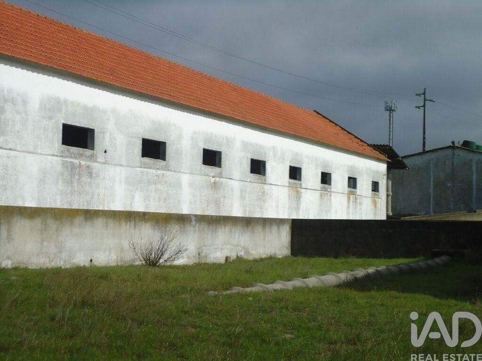 Helårsgrund i Palmela, Setubal - foto 2