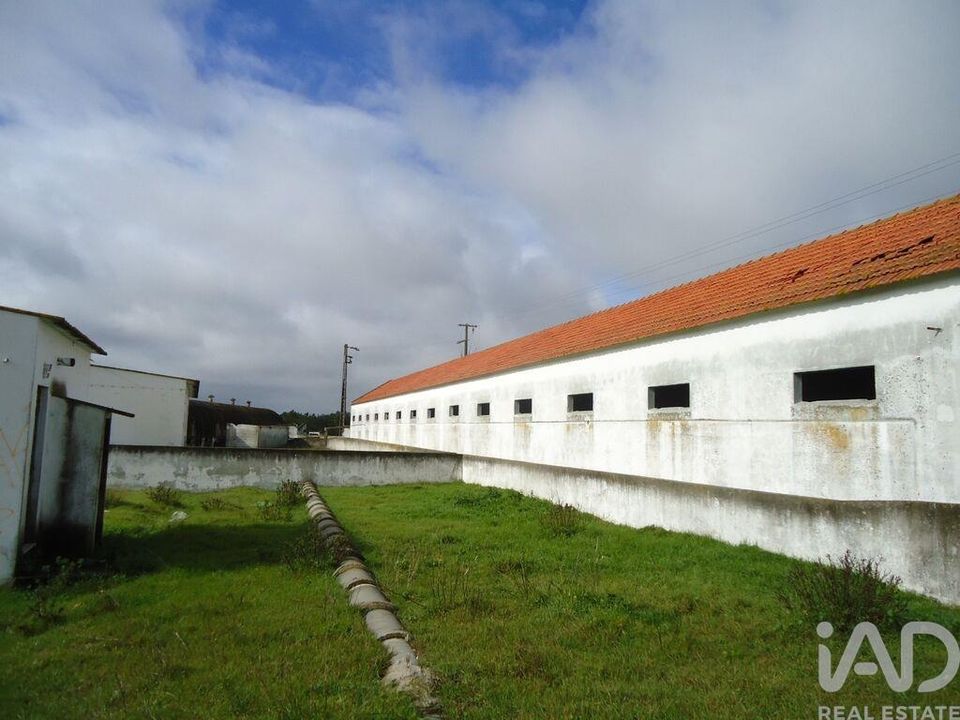 Helårsgrund i Palmela, Setubal - foto 5