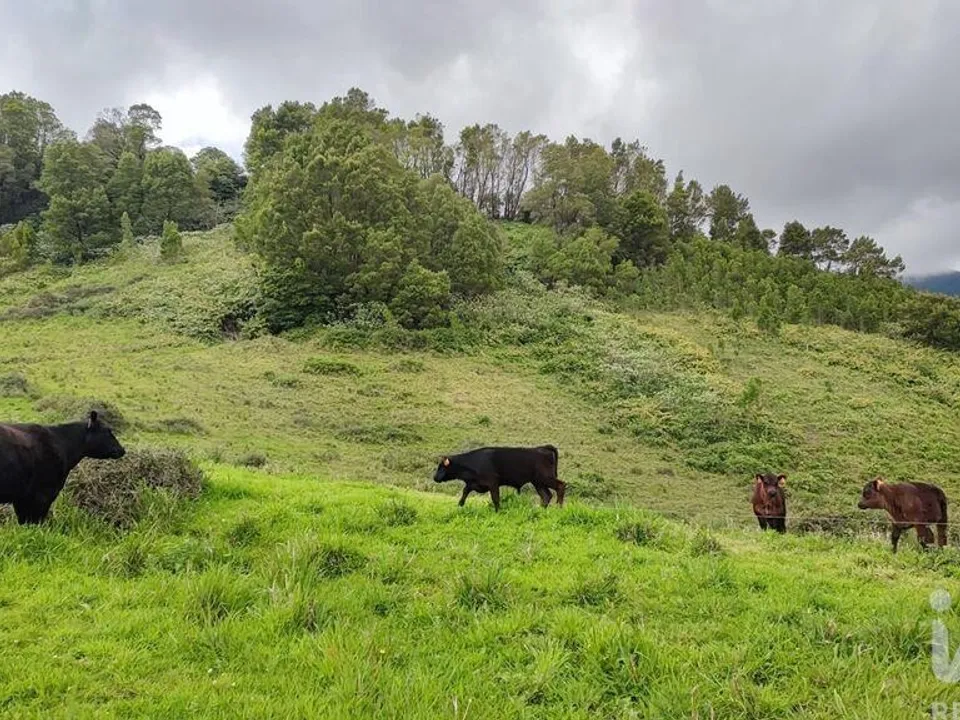 Maa Povoacaossa, Sao Miguel - kuva 2