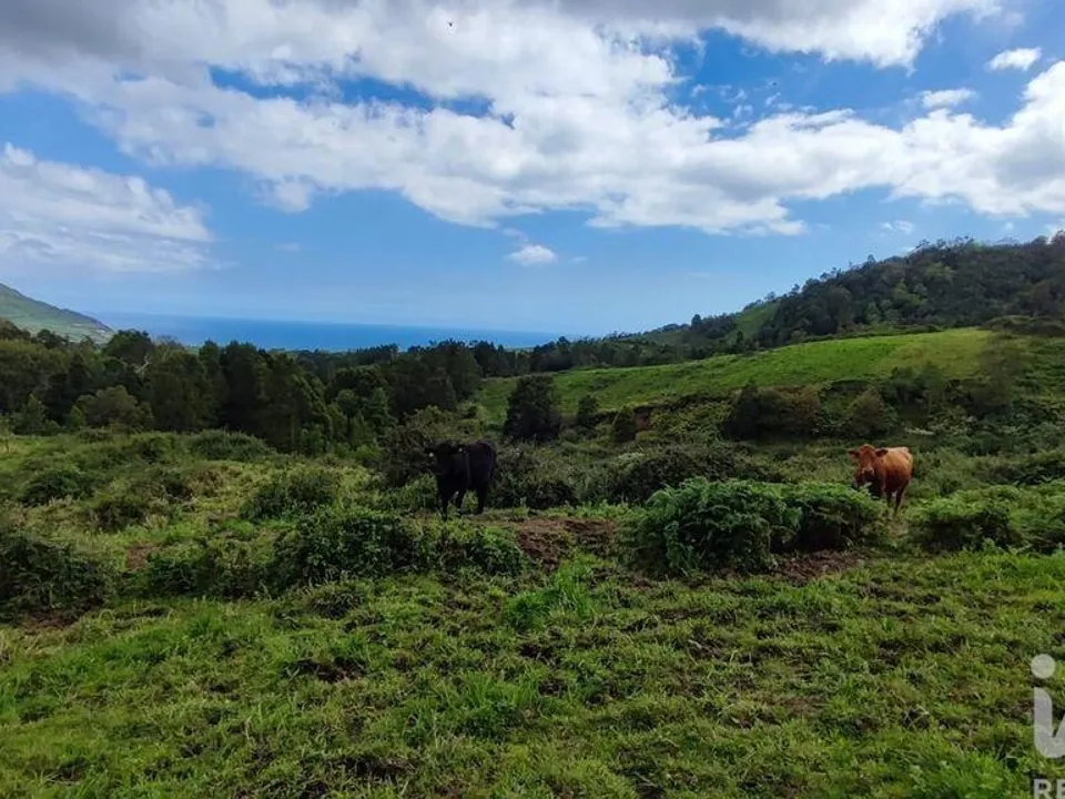 Maa Povoacaossa, Sao Miguel - kuva 4