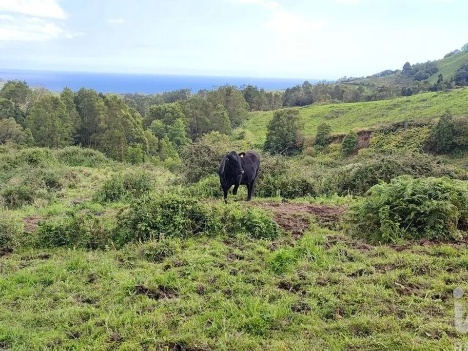 Maa Povoacaossa, Sao Miguel - kuva 5