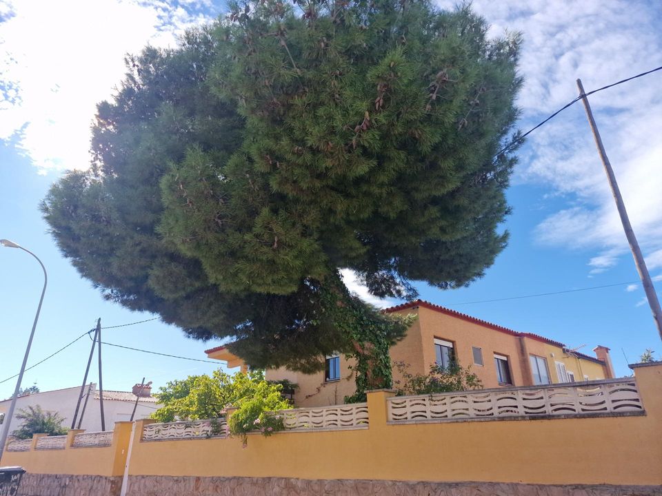 Villa i Benicassim, Castellon - foto 5