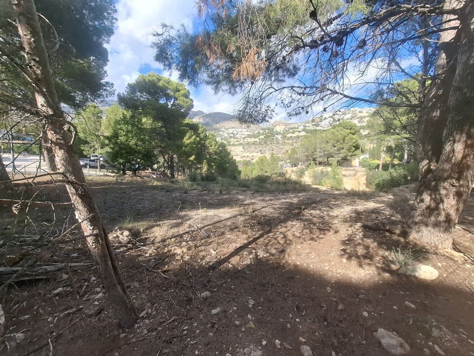 Helårsgrund i Altea, Alicante - foto 2
