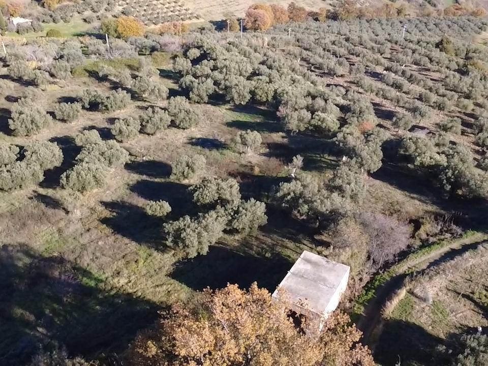Villa i Paglieta, Chieti - foto 4