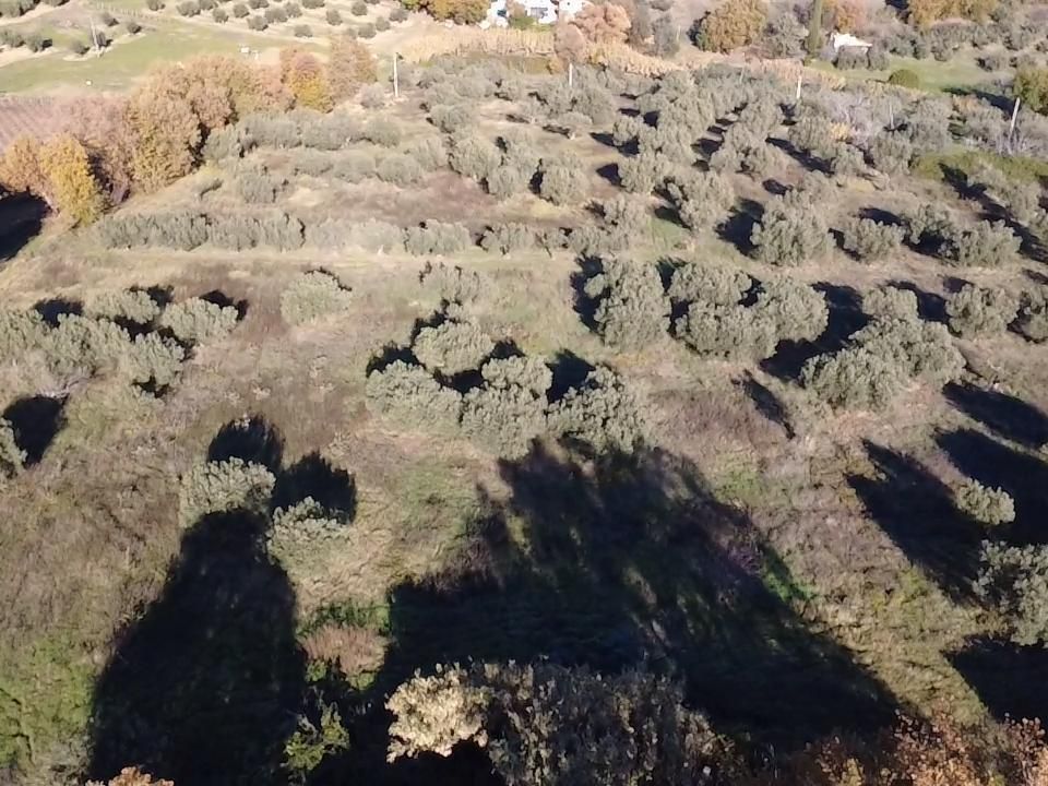 Villa i Paglieta, Chieti - foto 5
